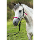Norton Set de cabestro y ramal Fun Colour Ethologisch Negro/Fucsia