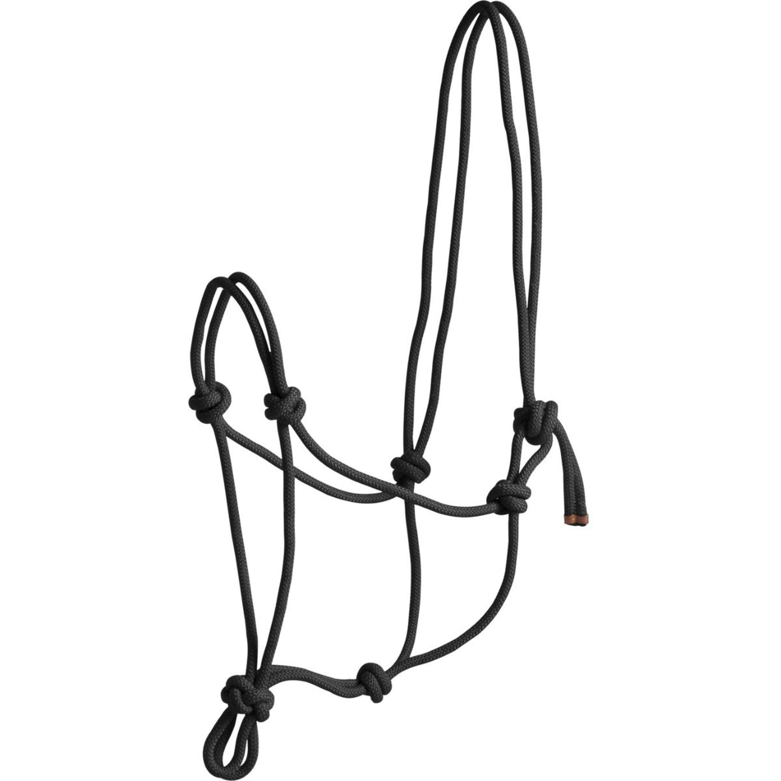 Norton Cabestro de Cuerda First Negro