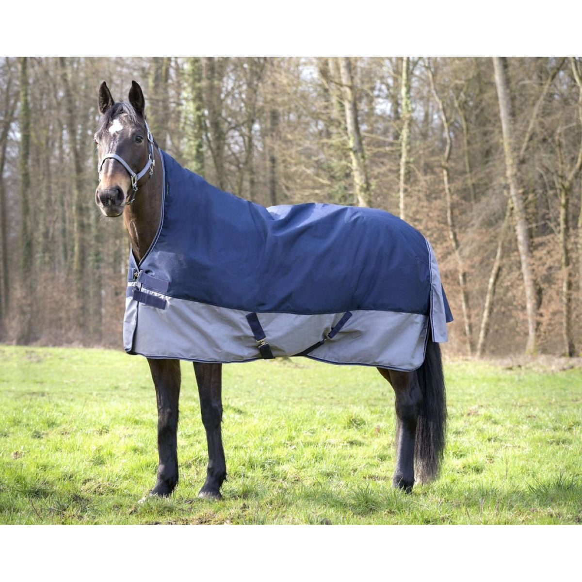EQUITHÈME Turnout Rug Tyrex Cuello Alto 600D 300g Marino/Gris Puntos
