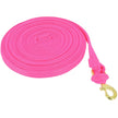 Rosa neon