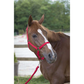 Riding World Juego de Cabestro Club con Cuerda Rojo