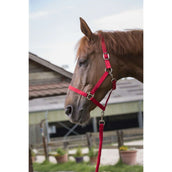 Riding World Juego de Cabestro Club con Cuerda Rojo