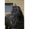 Riding World Brida con Cabezada Combinada Habana