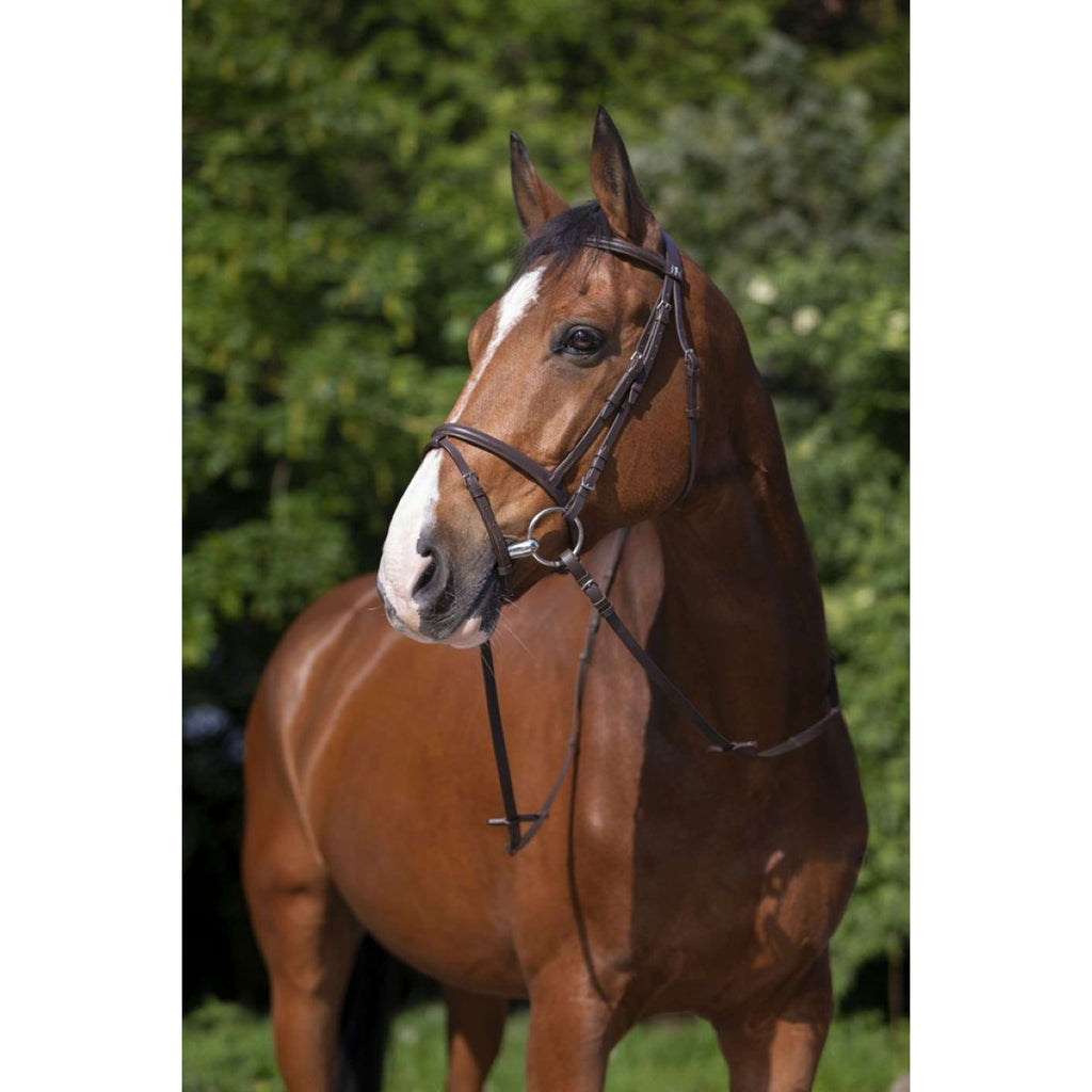 Riding World Brida con Cabezada Combinada Habana