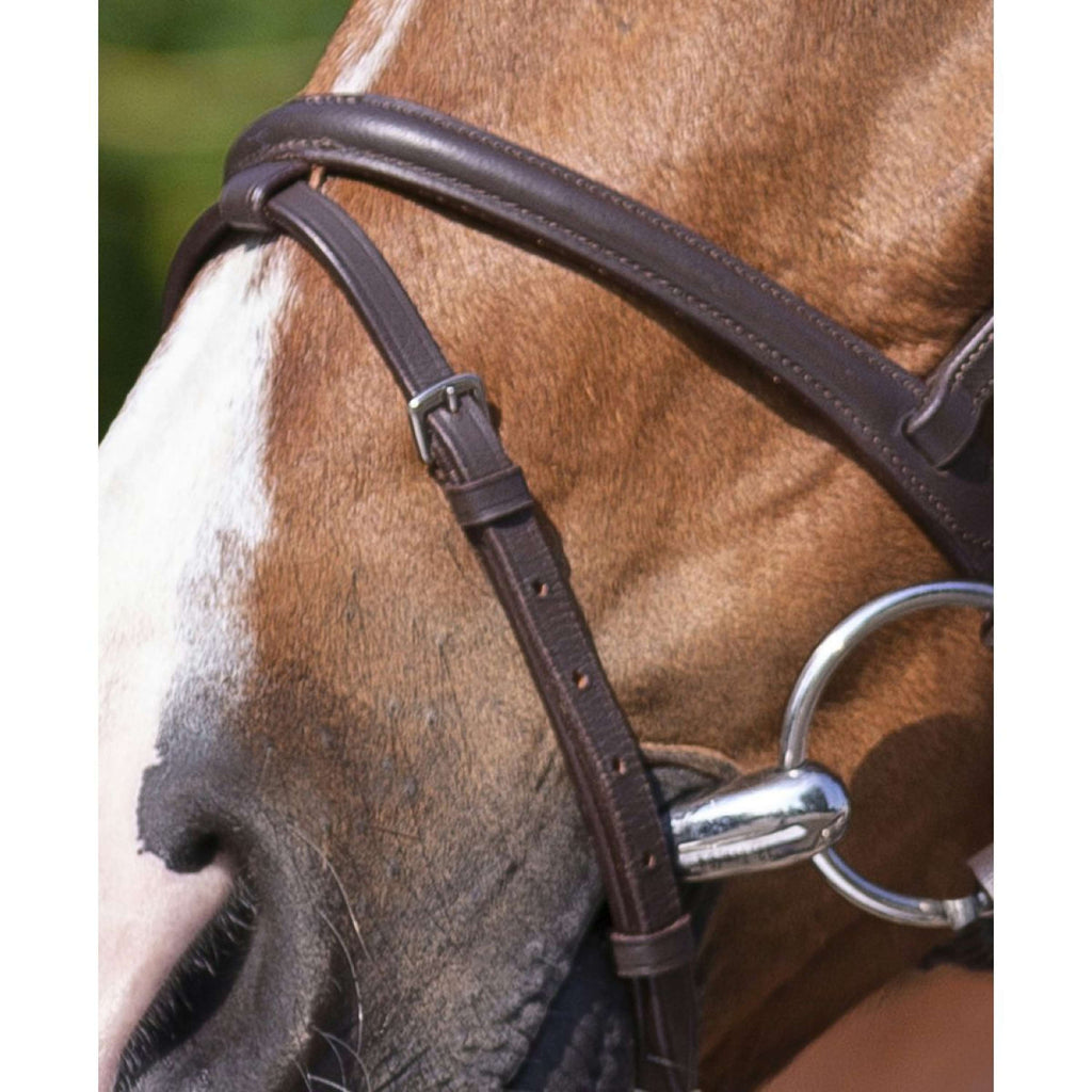 Riding World Brida con Cabezada Combinada Habana