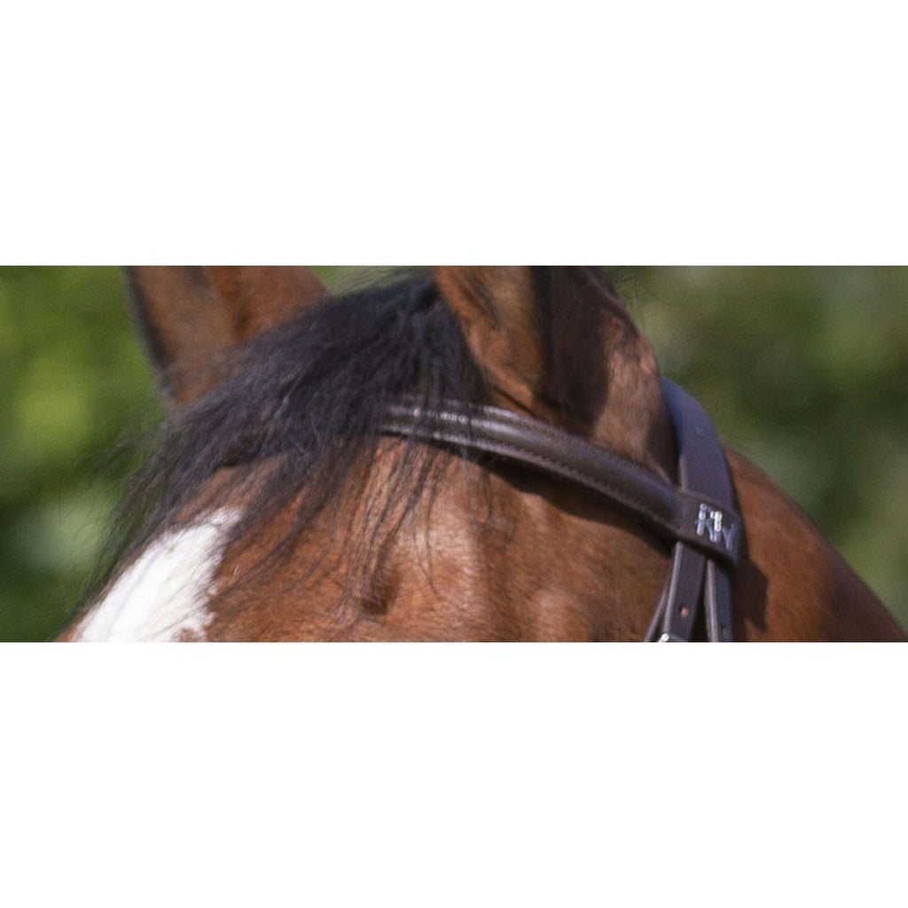 Riding World Brida con Cabezada Combinada Habana