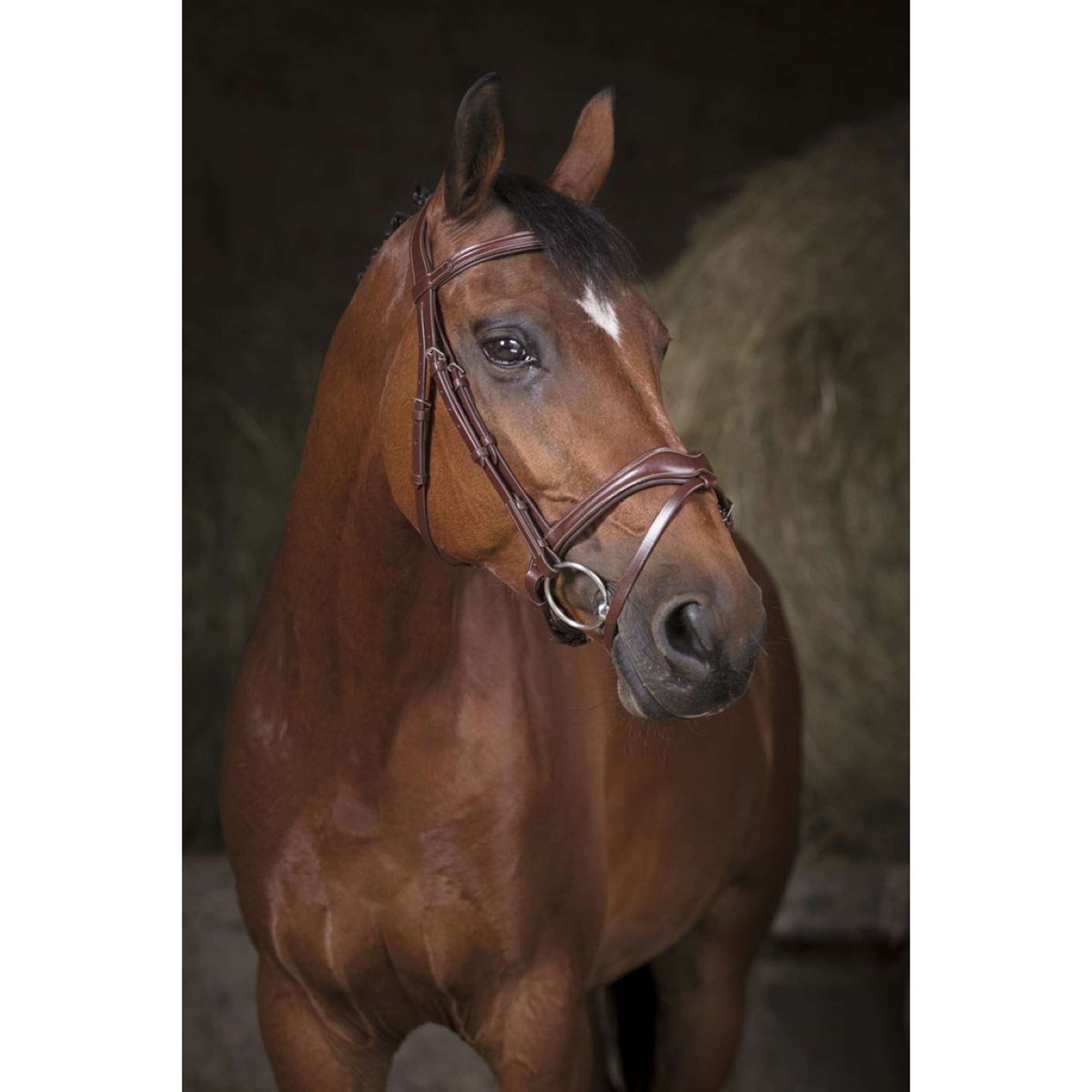 Norton Brida Pro Vague Habana