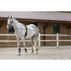 Riding World Riendas Cuero/Cuerda Negro