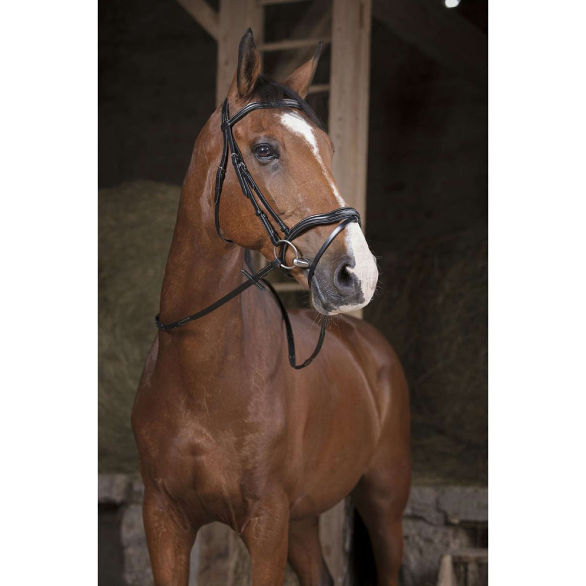 Norton Riendas Pro Supergrip Negro