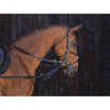Riding World Riendas Laterales Pirelli Negro