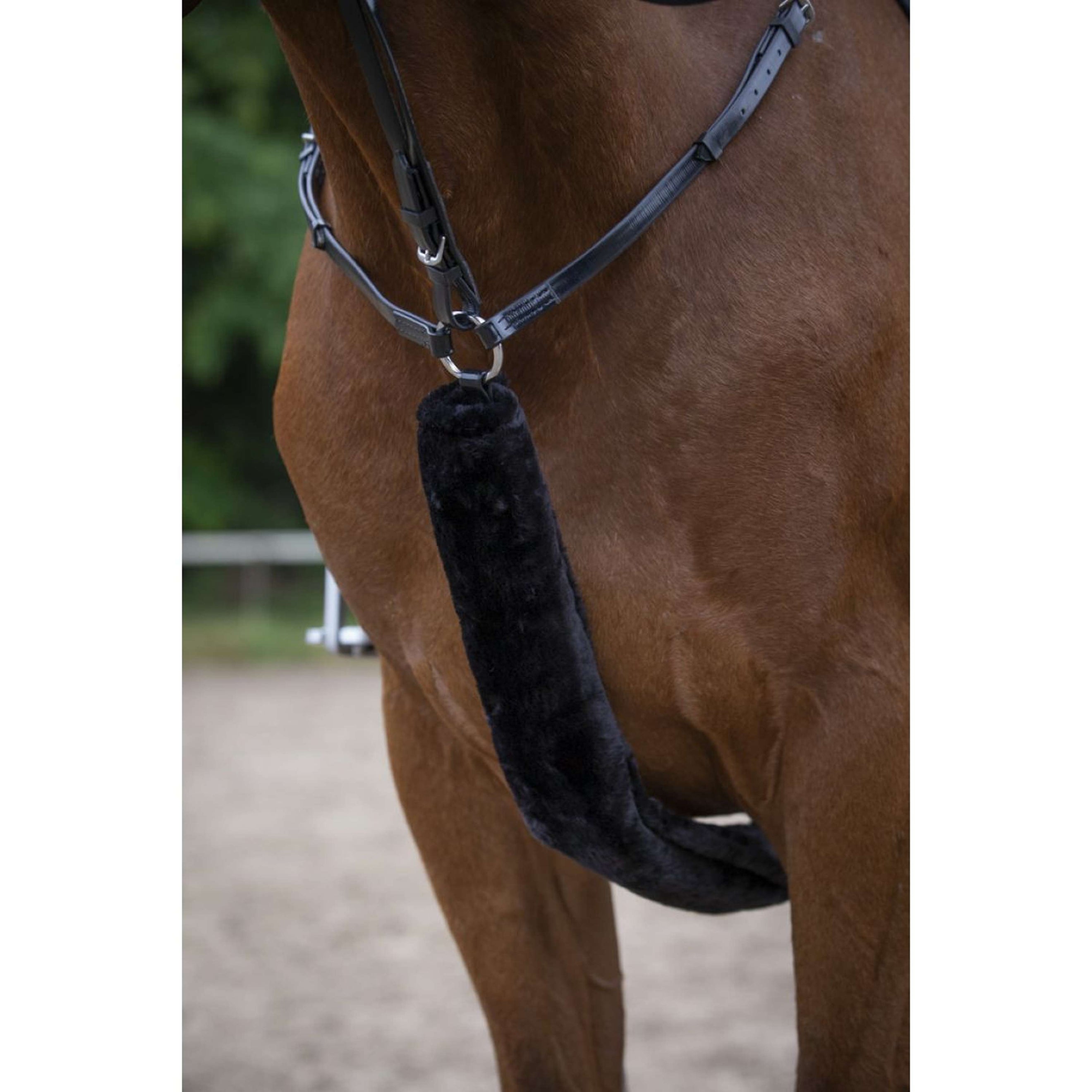 EQUITHÈME Protector de Pechera Teddy Negro