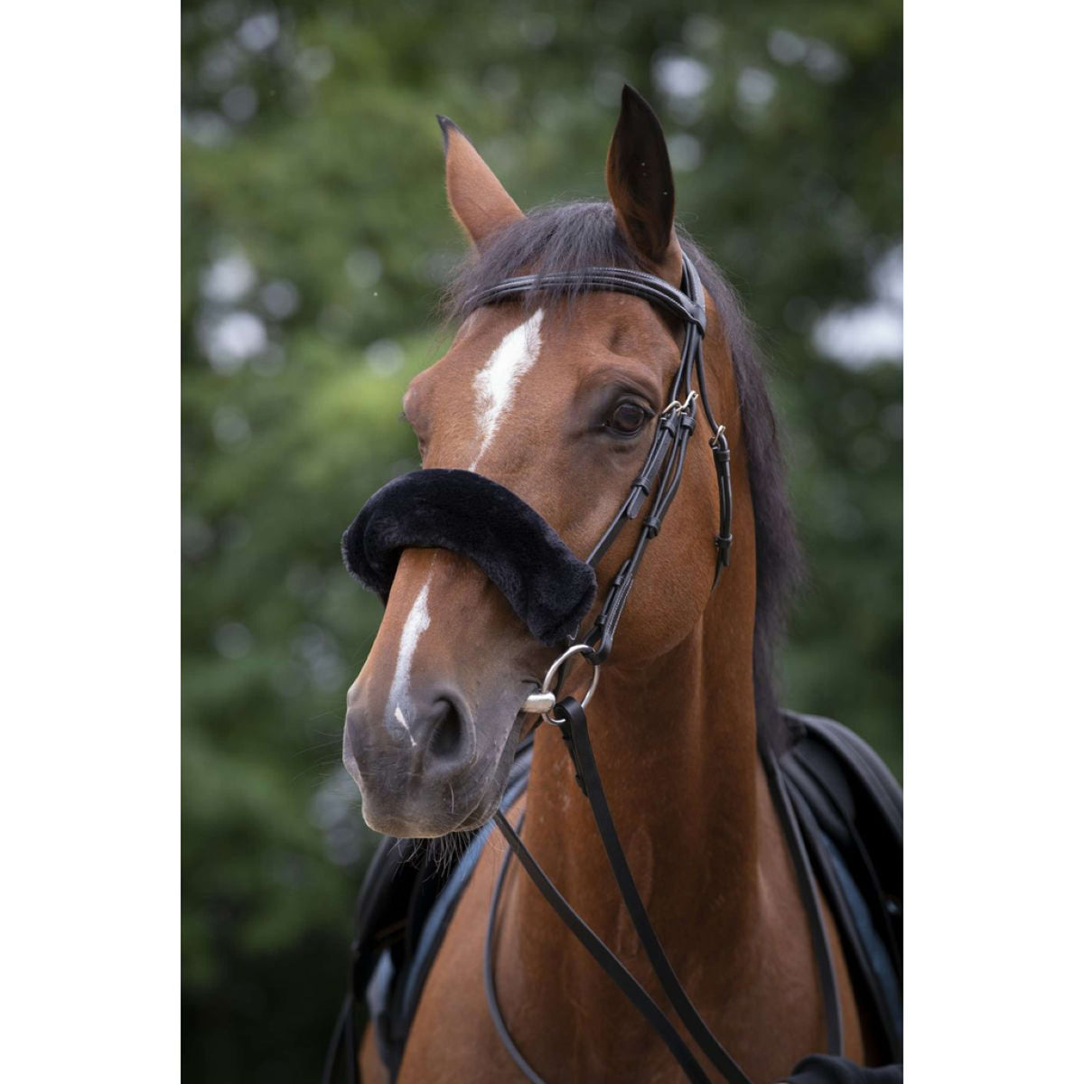 EQUITHÈME Protector de Nariz Teddy Negro