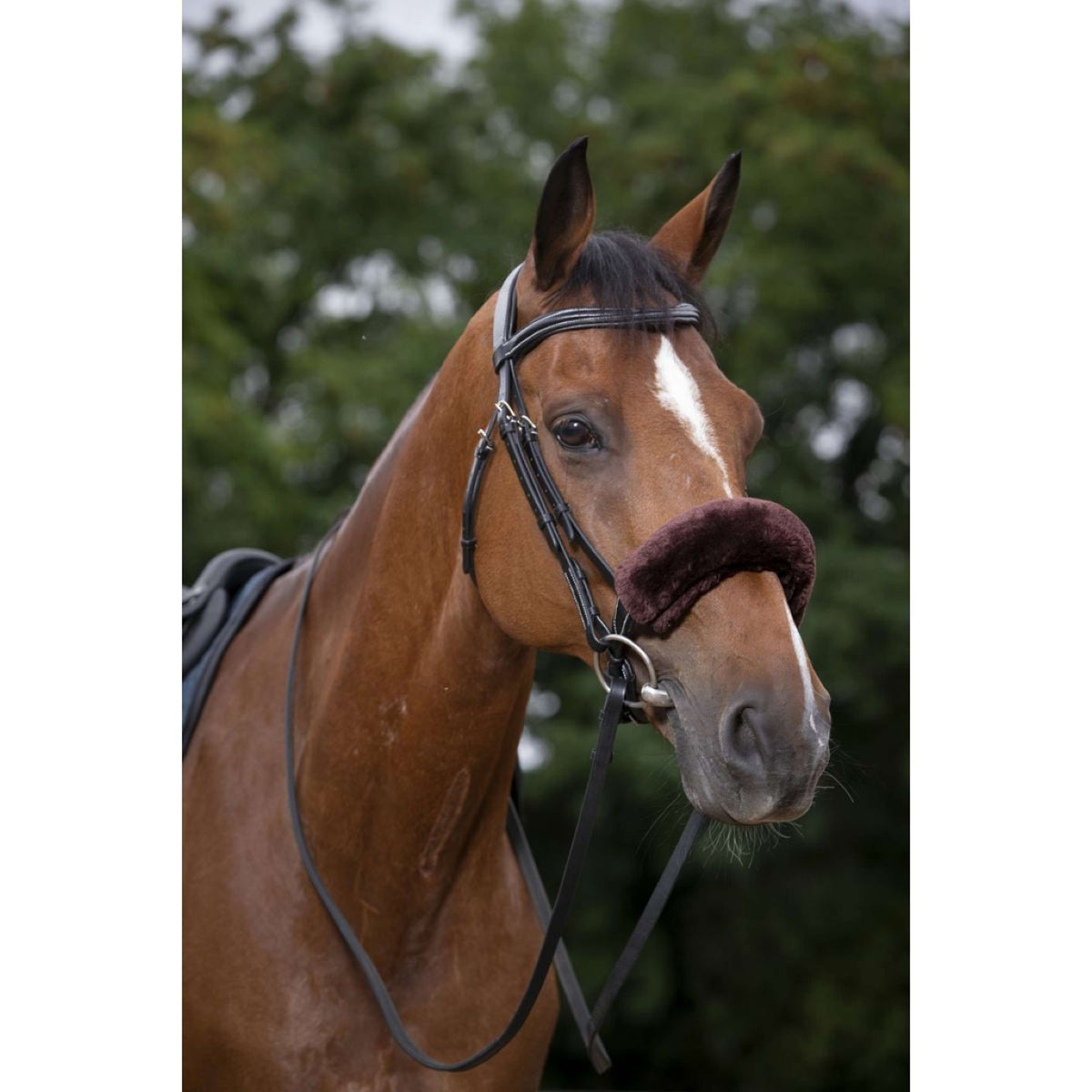 EQUITHÈME Protector de Nariz Teddy Marron