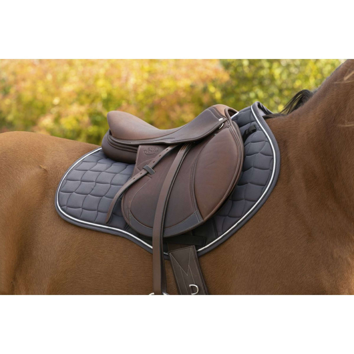 EQUITHÈME Mantilla Sport Saltando Gris