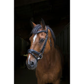 Eric Thomas Brida Pro Design Negro