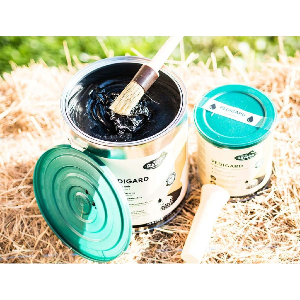 Ravene Pediguard Blond Negro