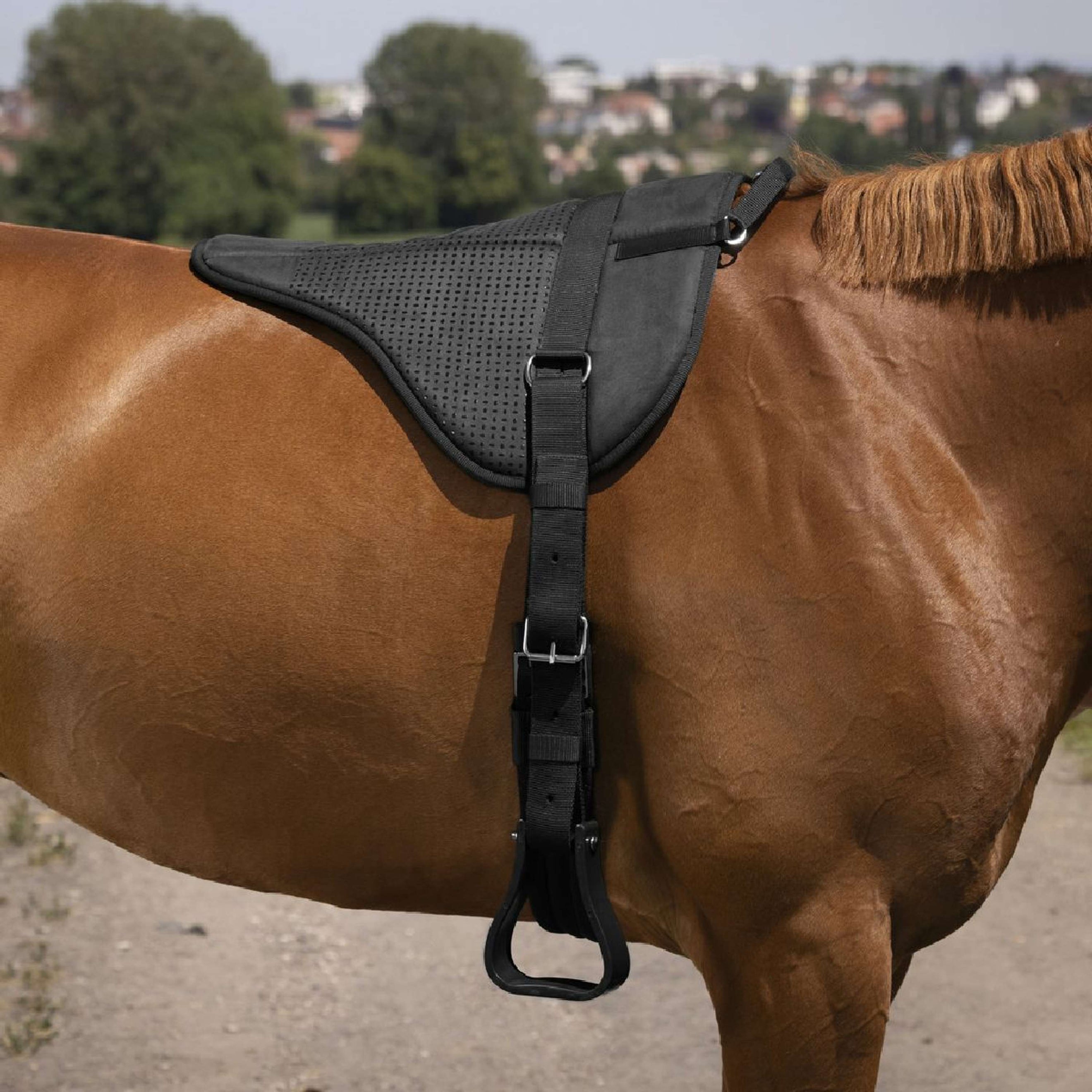 Norton Bareback Pad Silicona Negro