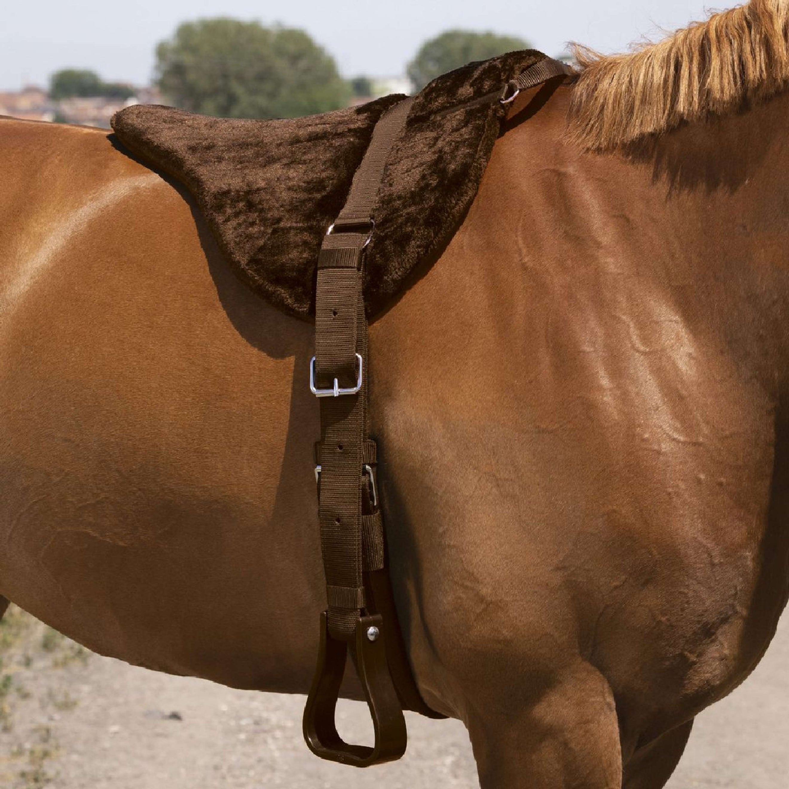 Norton Bareback Pad Confort Marron Norton Bareback Pad Confort Marron