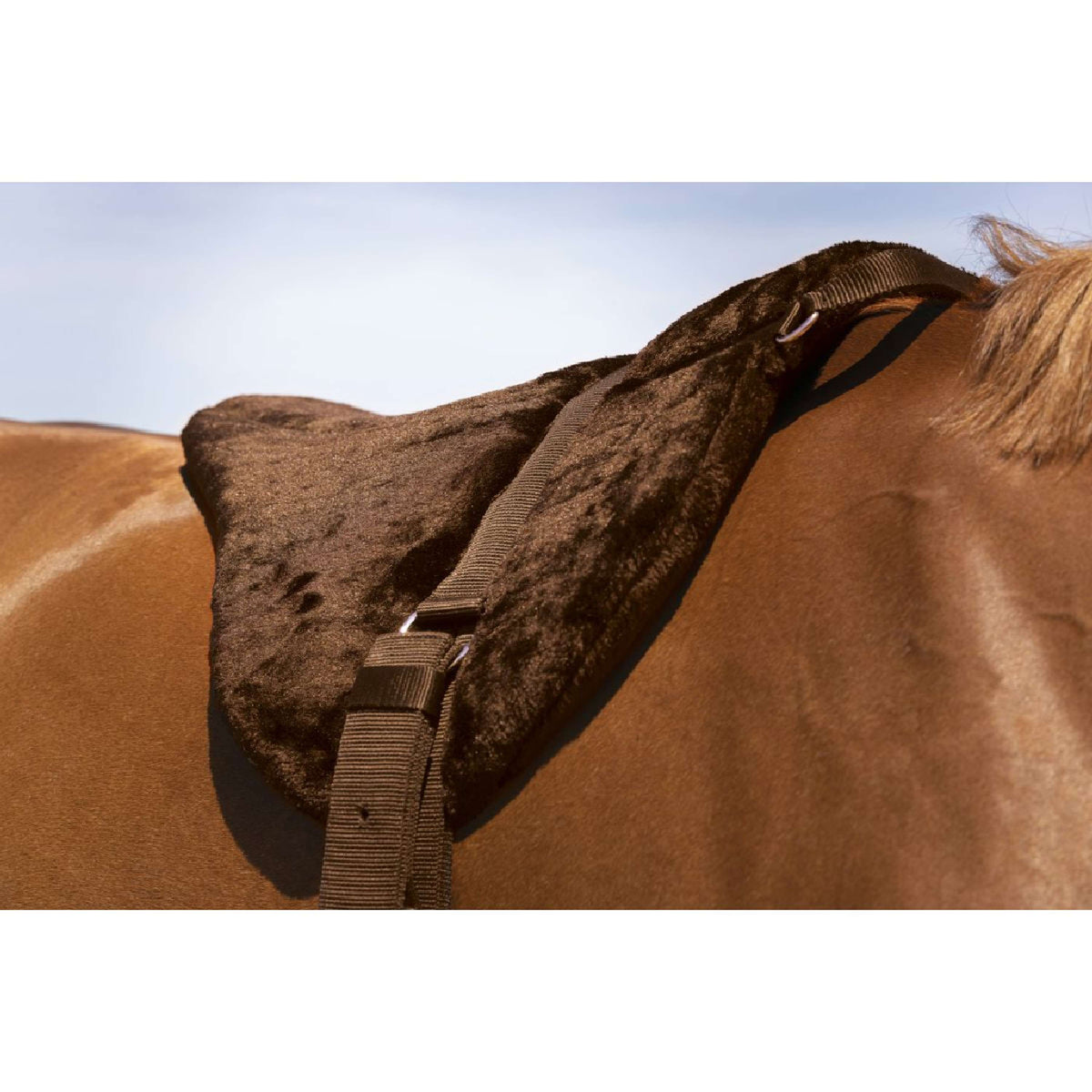 Norton Bareback Pad Confort Marron