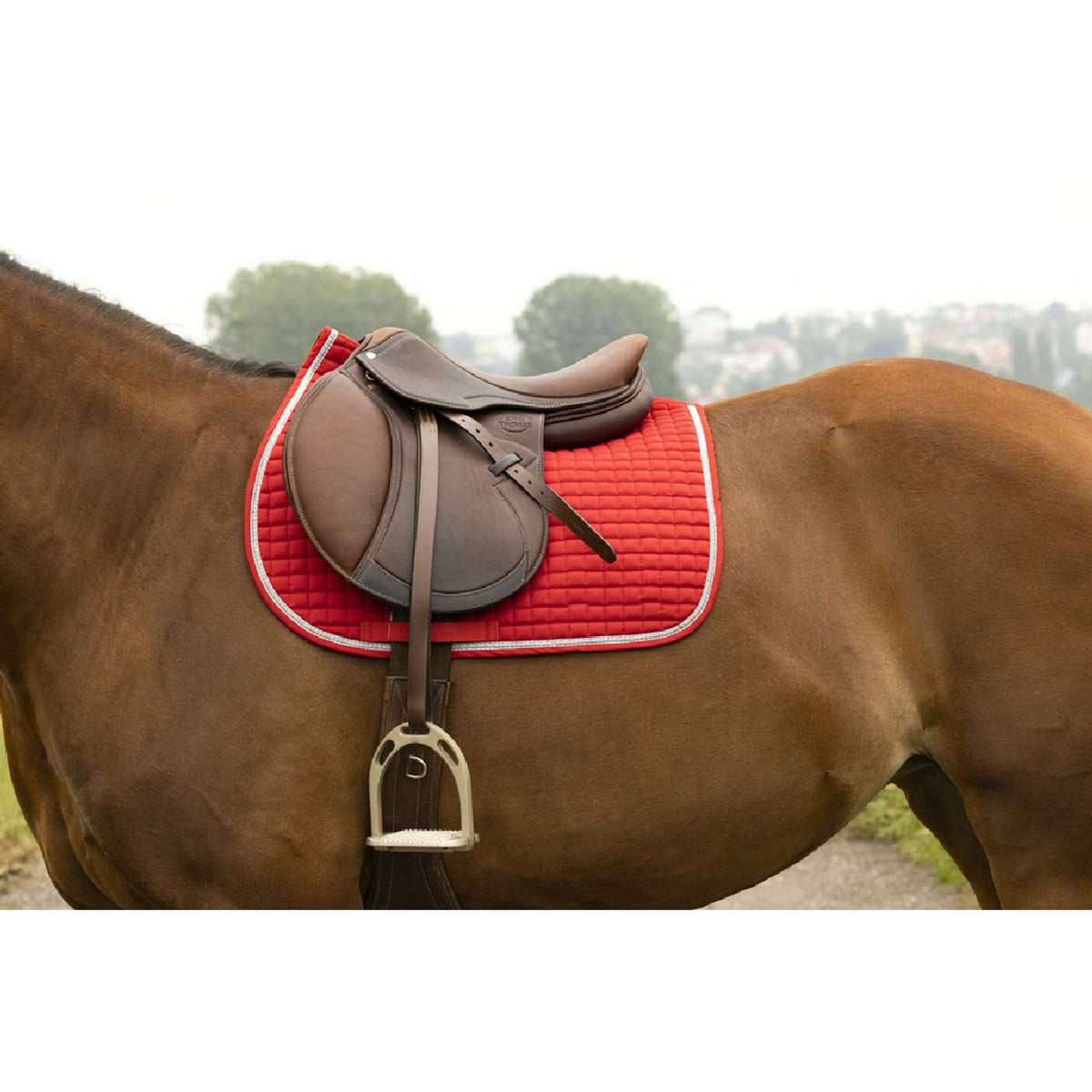 Riding World Mantilla Girly Rojo