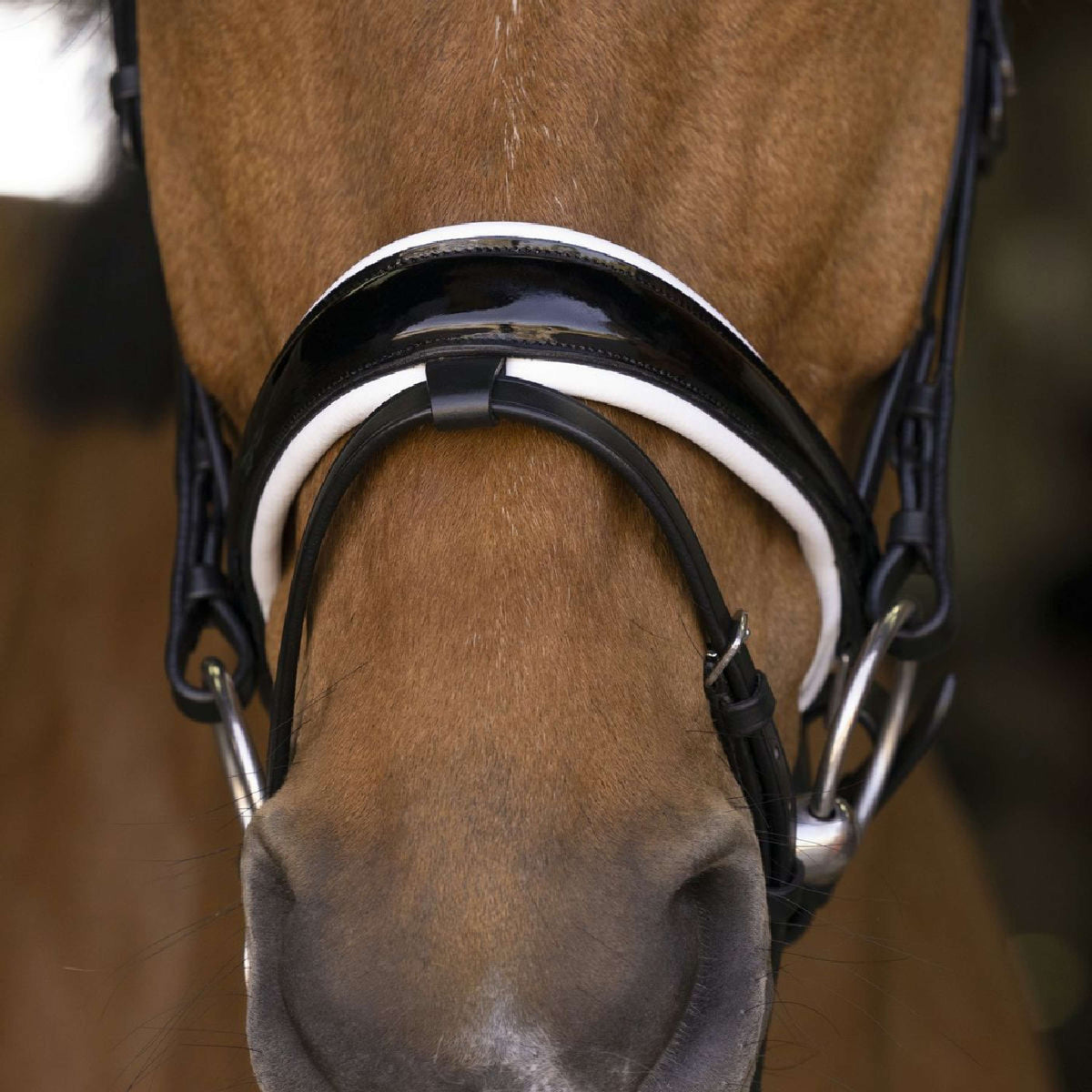 Norton Brida Pro Bella Negro