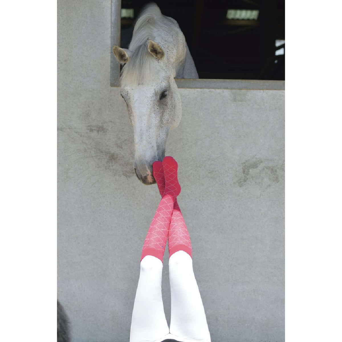 EQUITHÈME Calcetines Résille Fuchsia