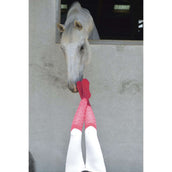 EQUITHÈME Calcetines Résille Fuchsia
