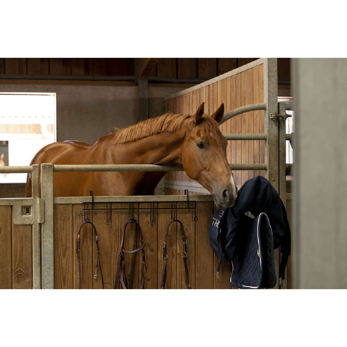 Hippotonic Colgador de Bridas para 5 Cabezadas Negro