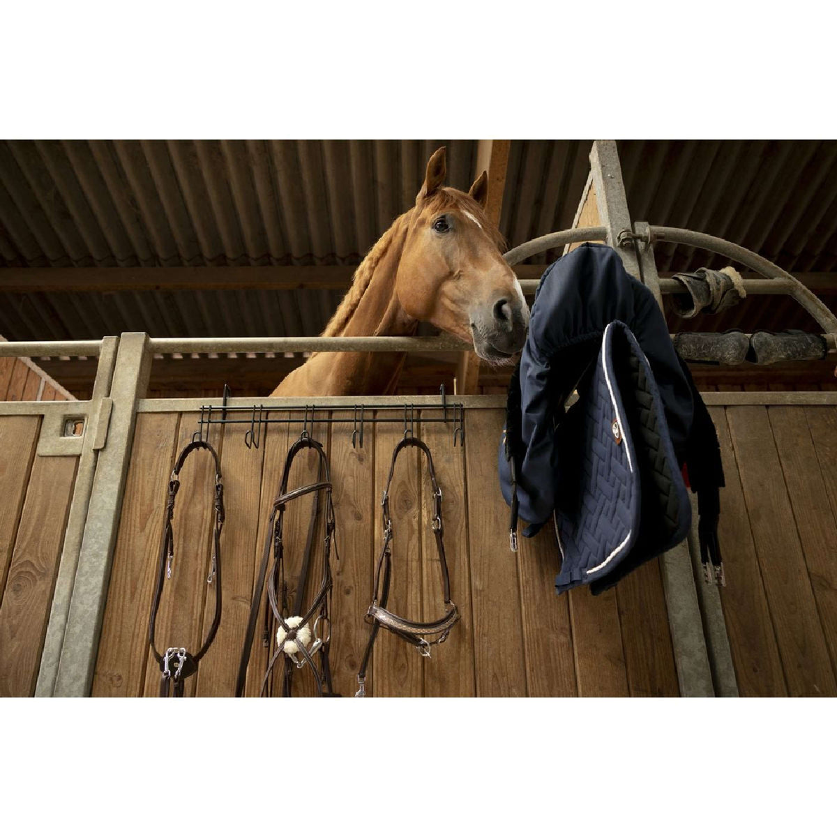 Hippotonic Colgador de Bridas para 5 Cabezadas Negro
