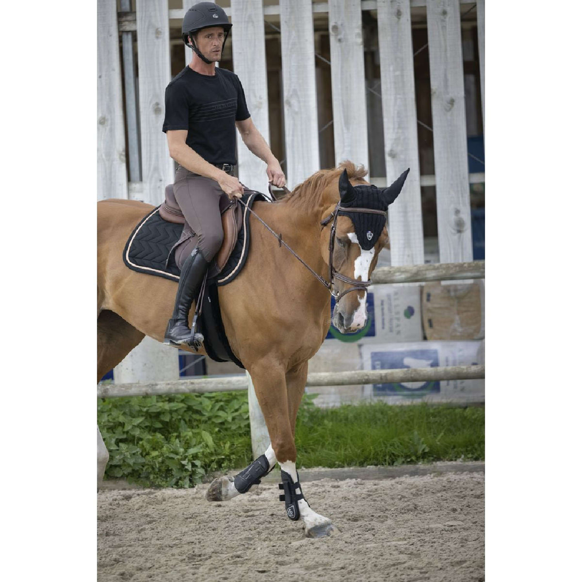 EQUITHÈME T-Shirt Pro Series Aubin Negro