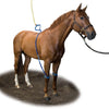 Equine Legcooler Soporte Respiratorio Bronchix Liq