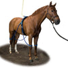 Equine Legcooler Soporte Respiratorio Bronchix Liq