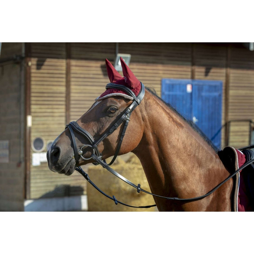 EQUITHÈME Bonete para Orejas Polyfun Bordeaux/Taupe