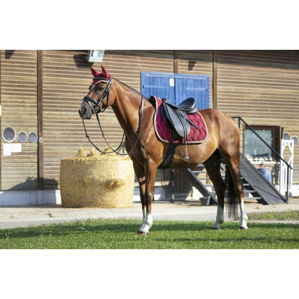 EQUITHÈME Bonete para Orejas Polyfun Bordeaux/Taupe