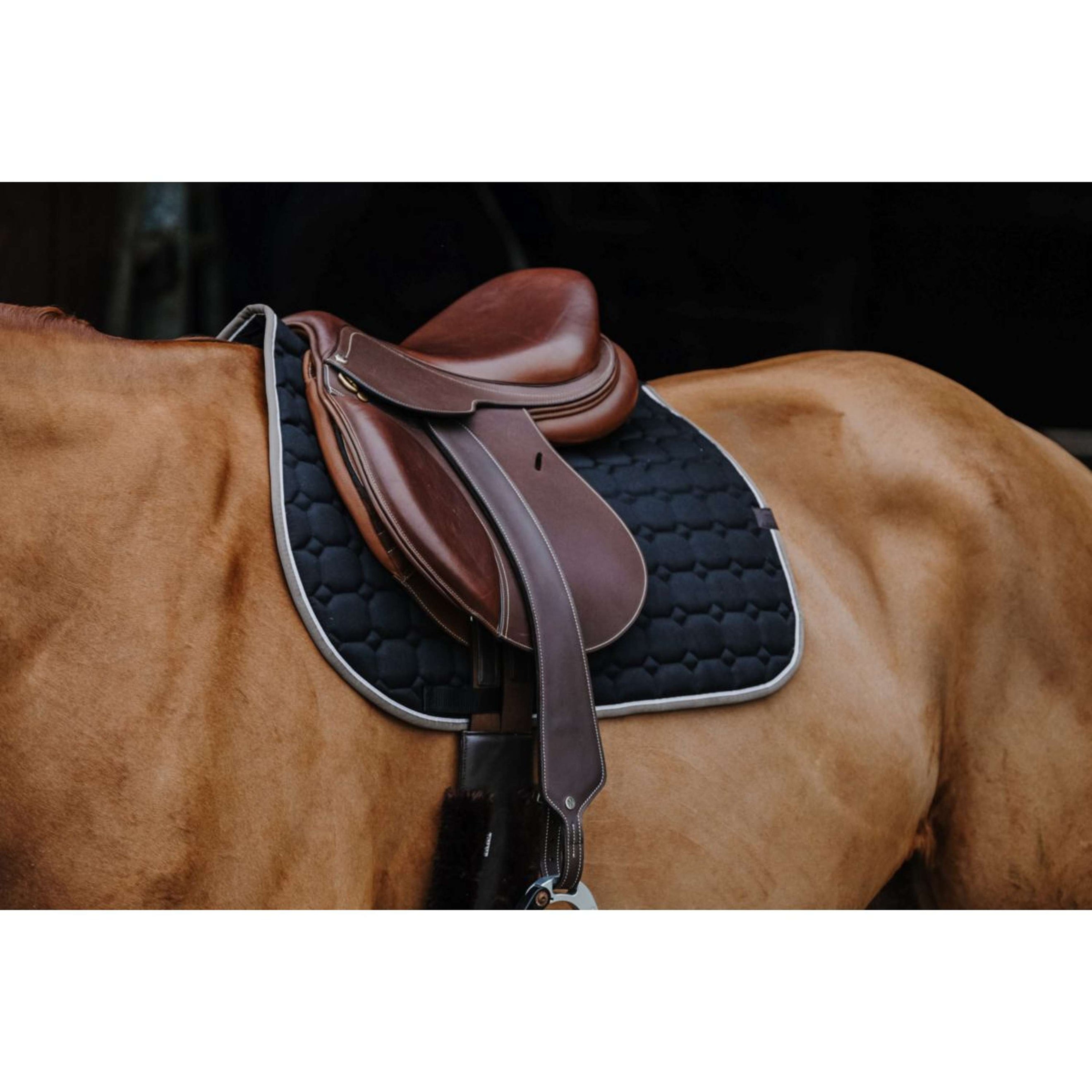 EQUITHÈME Mantilla Orion Negro EQUITHÈME Mantilla Orion Negro