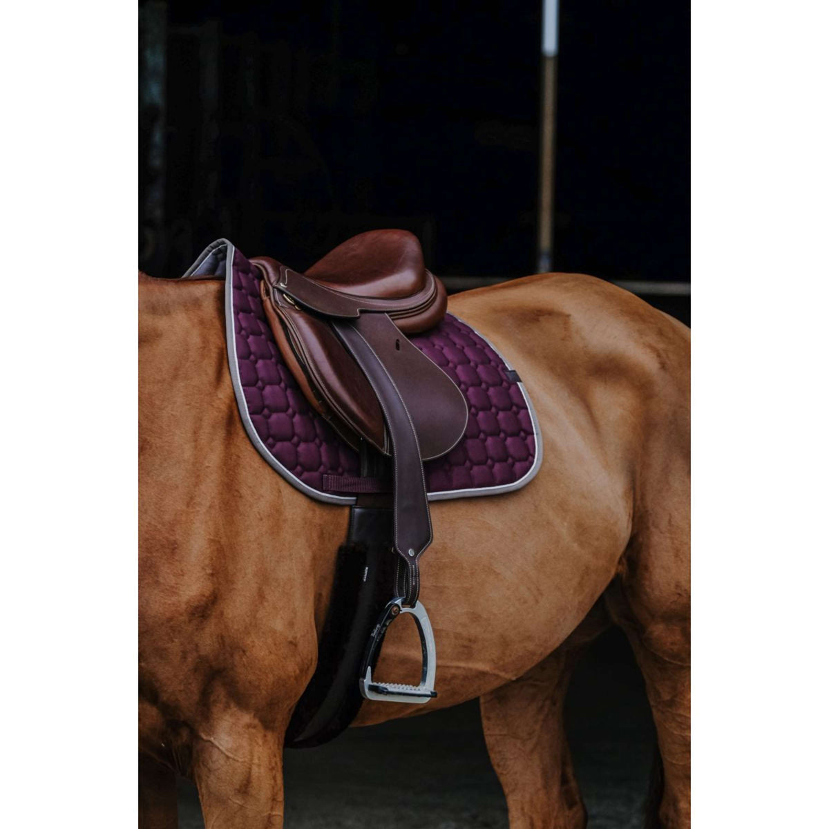 EQUITHÈME Mantilla Orion Ciruela