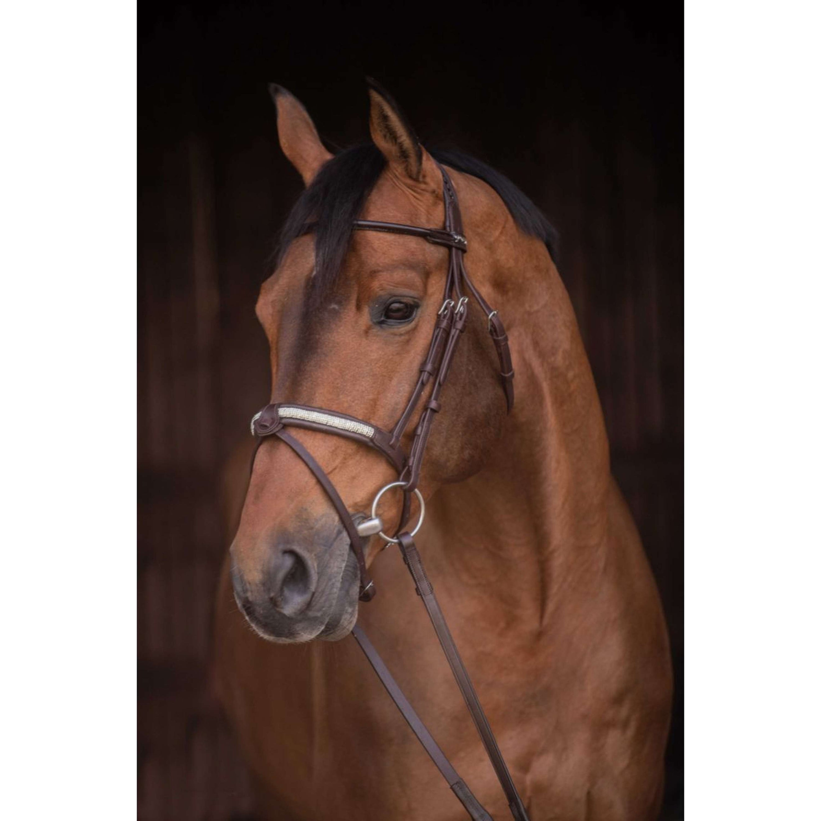 Pénélope Brida Symphonie Havanna