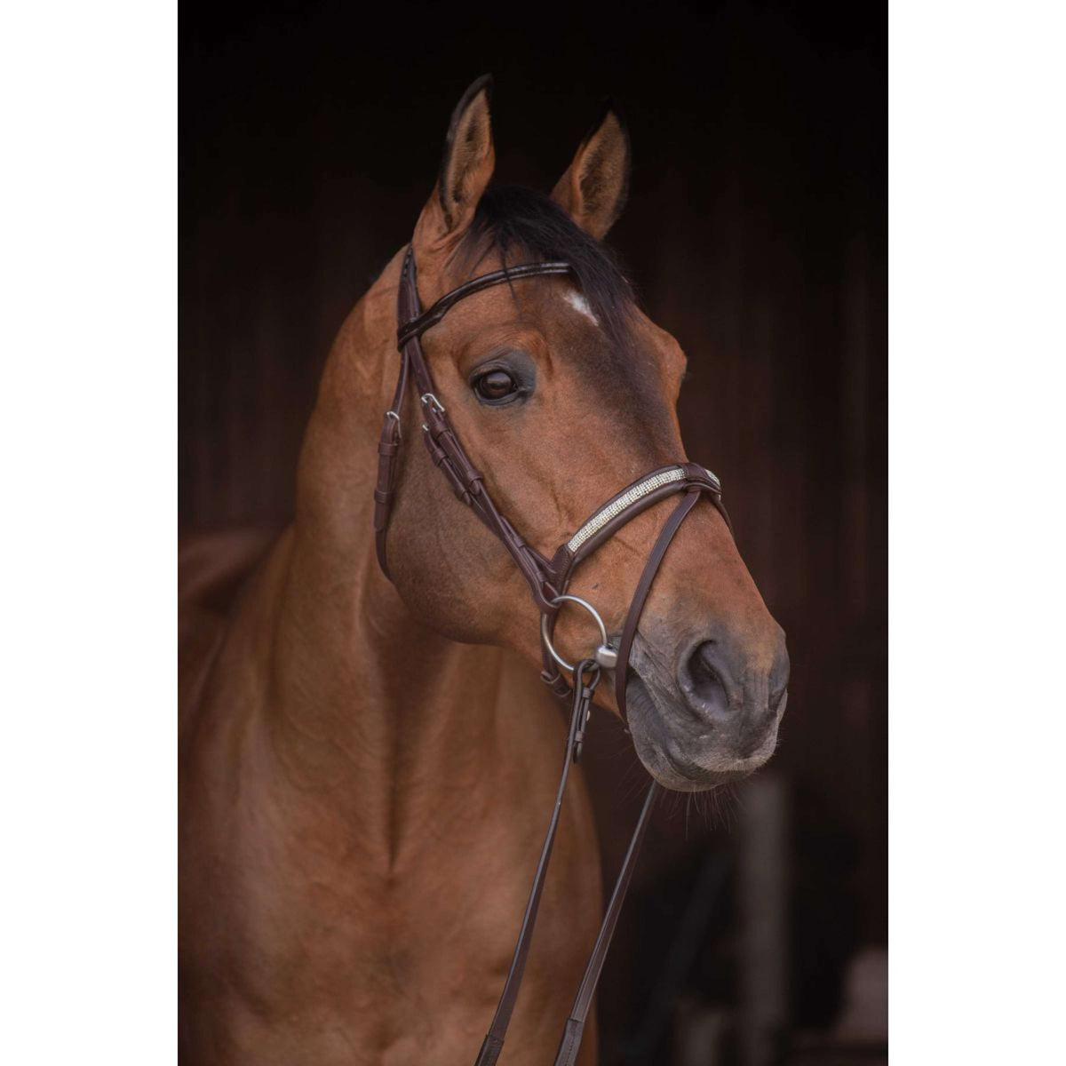 Pénélope Brida Symphonie Havanna