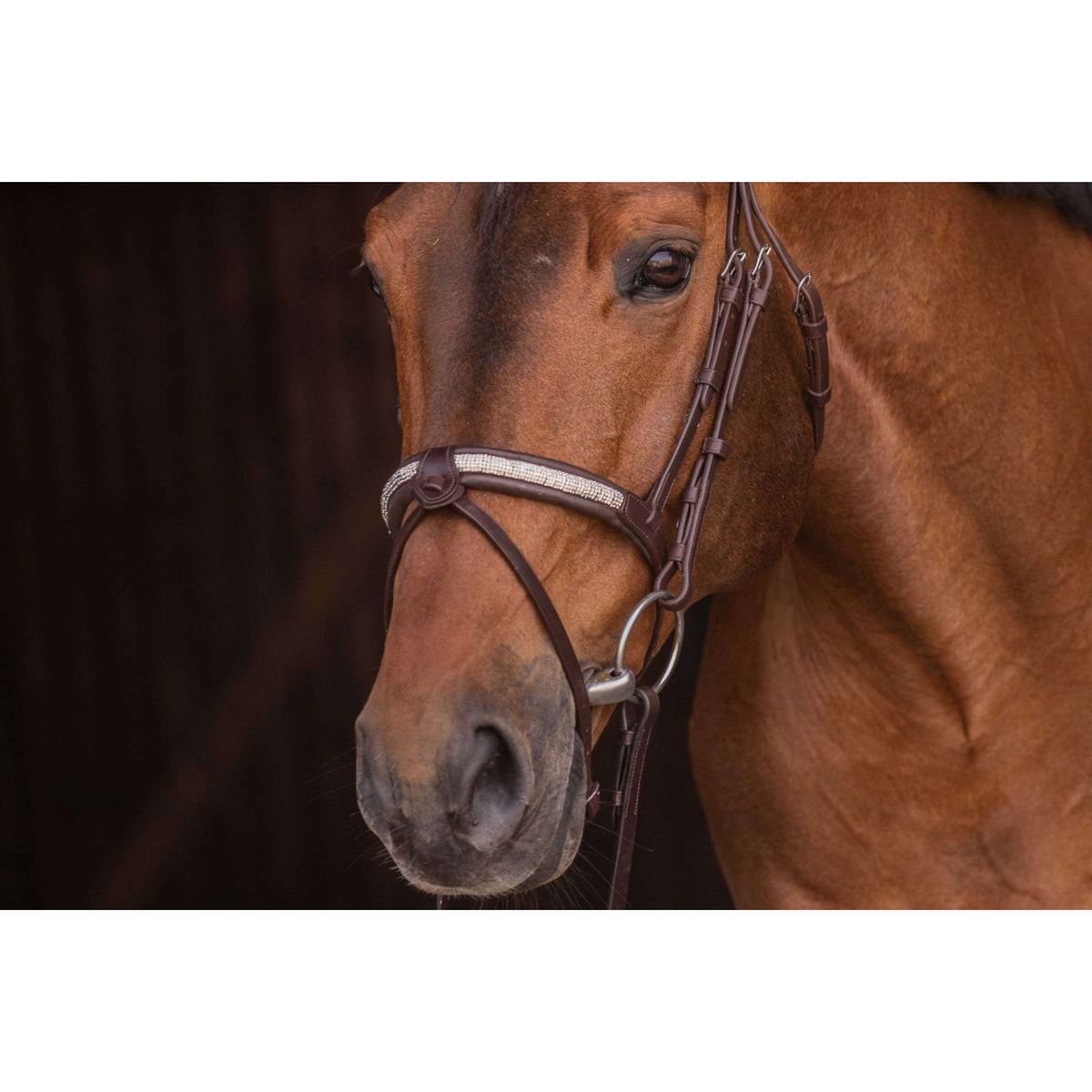 Pénélope Brida Symphonie Havanna