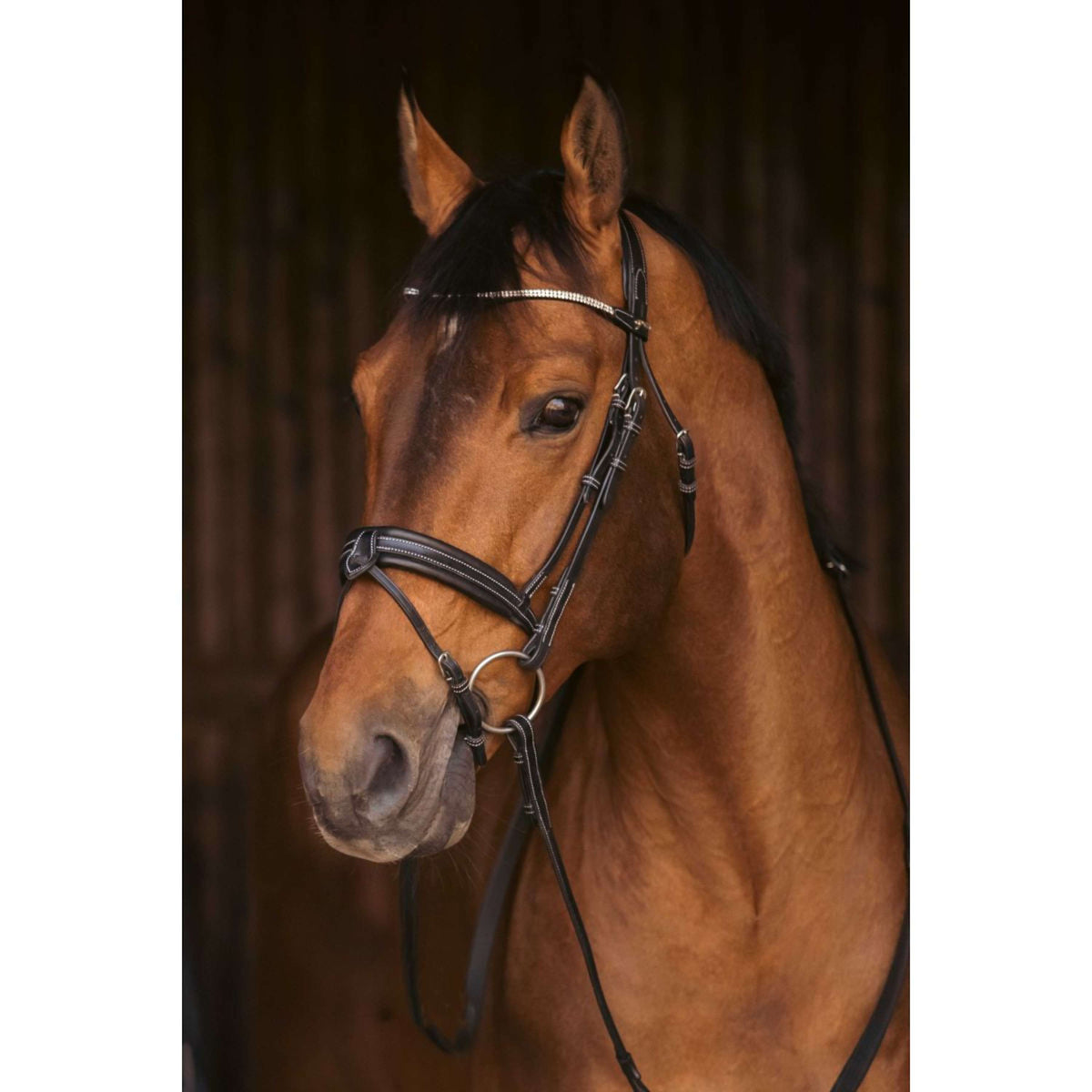 Pénélope Brida Daily Strass Negro