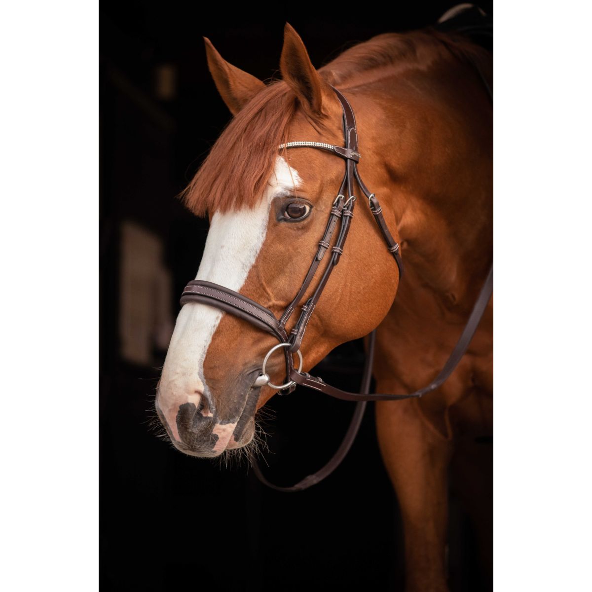 Pénélope Brida Daily Strass Havanna