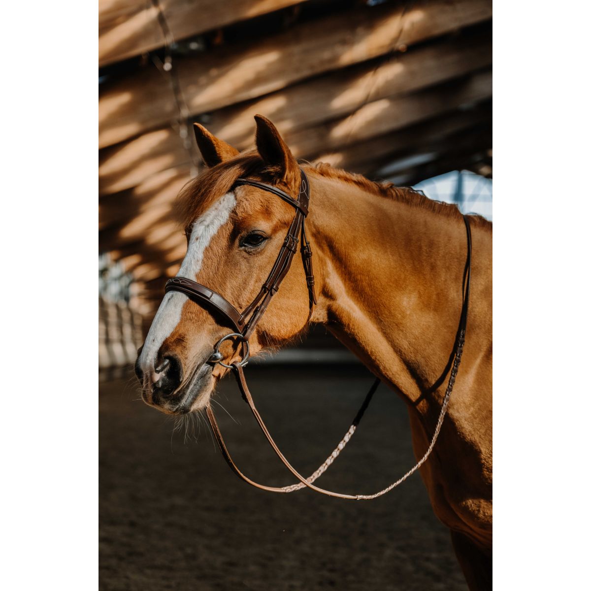 Norton Brida Hunter Fancy Havanna