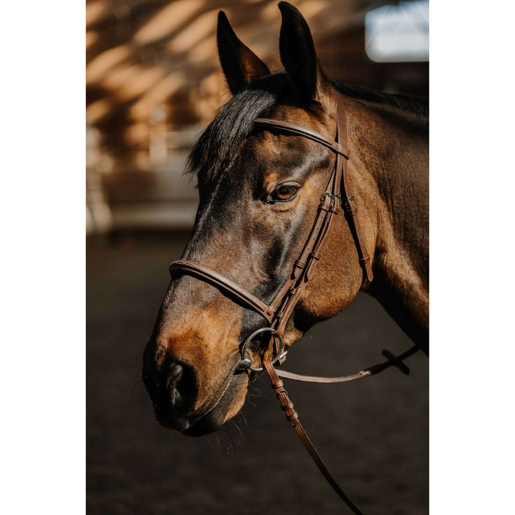 Norton Brida Hunter Soft Havanna