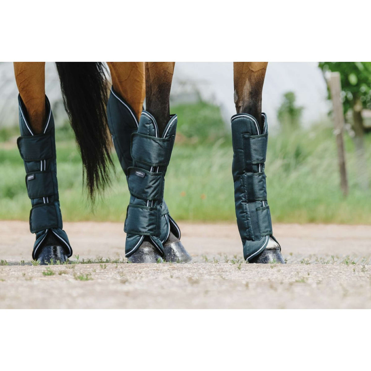 EQUITHÈME Protectores de transporte 600D Verde