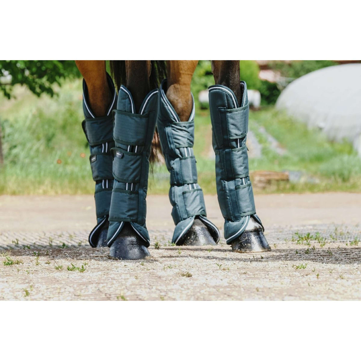 EQUITHÈME Protectores de transporte 600D Verde