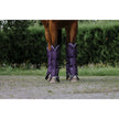 EQUITHÈME Protectores de transporte Tyrex 600D