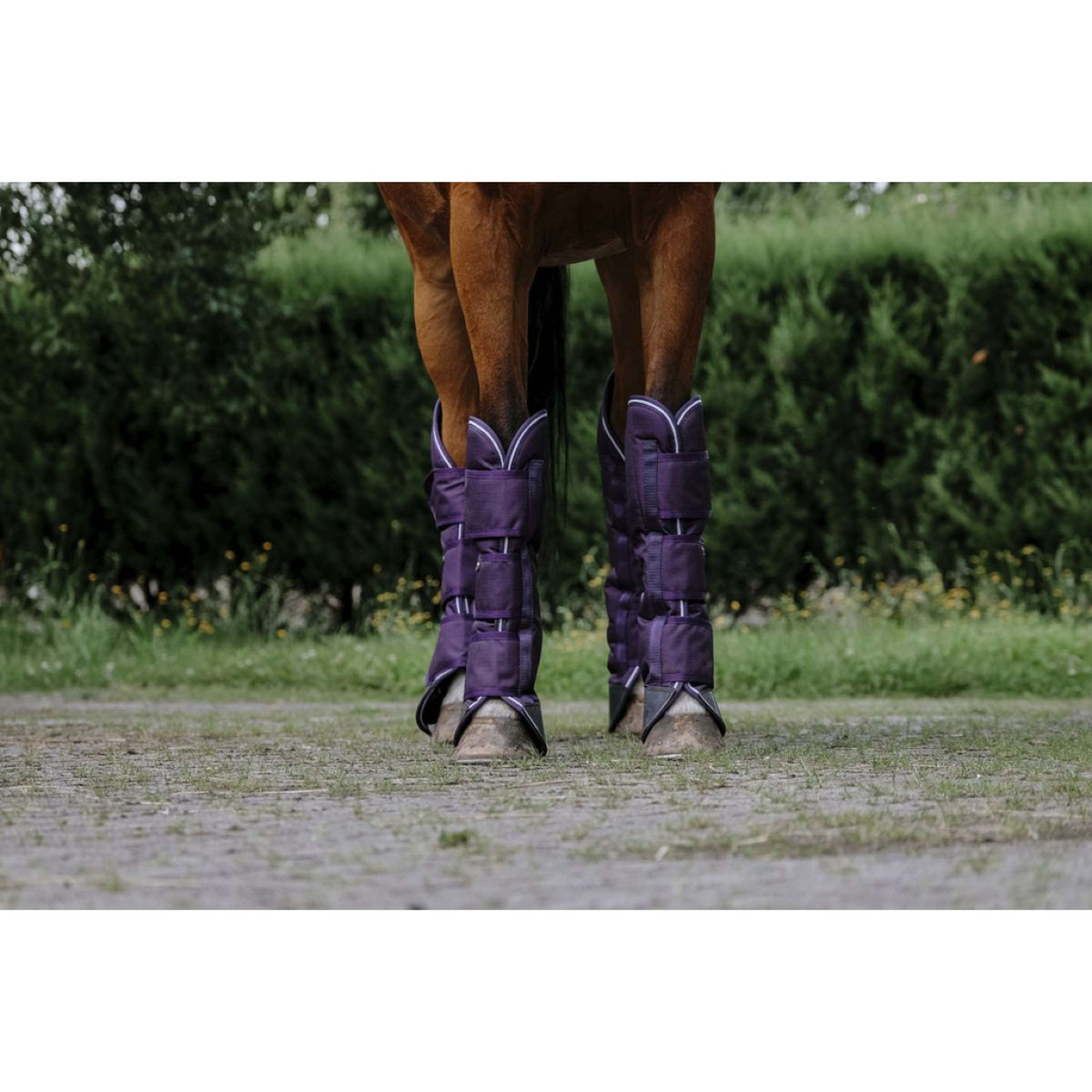 EQUITHÈME Protectores de transporte Tyrex 600D