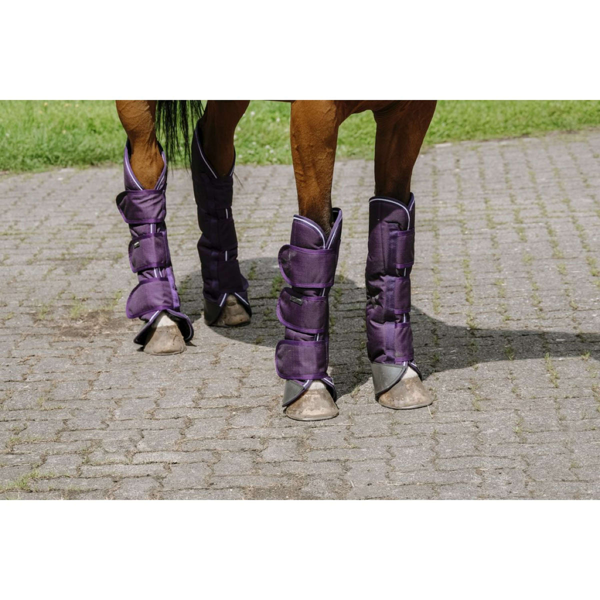 EQUITHÈME Protectores de transporte Tyrex 600D