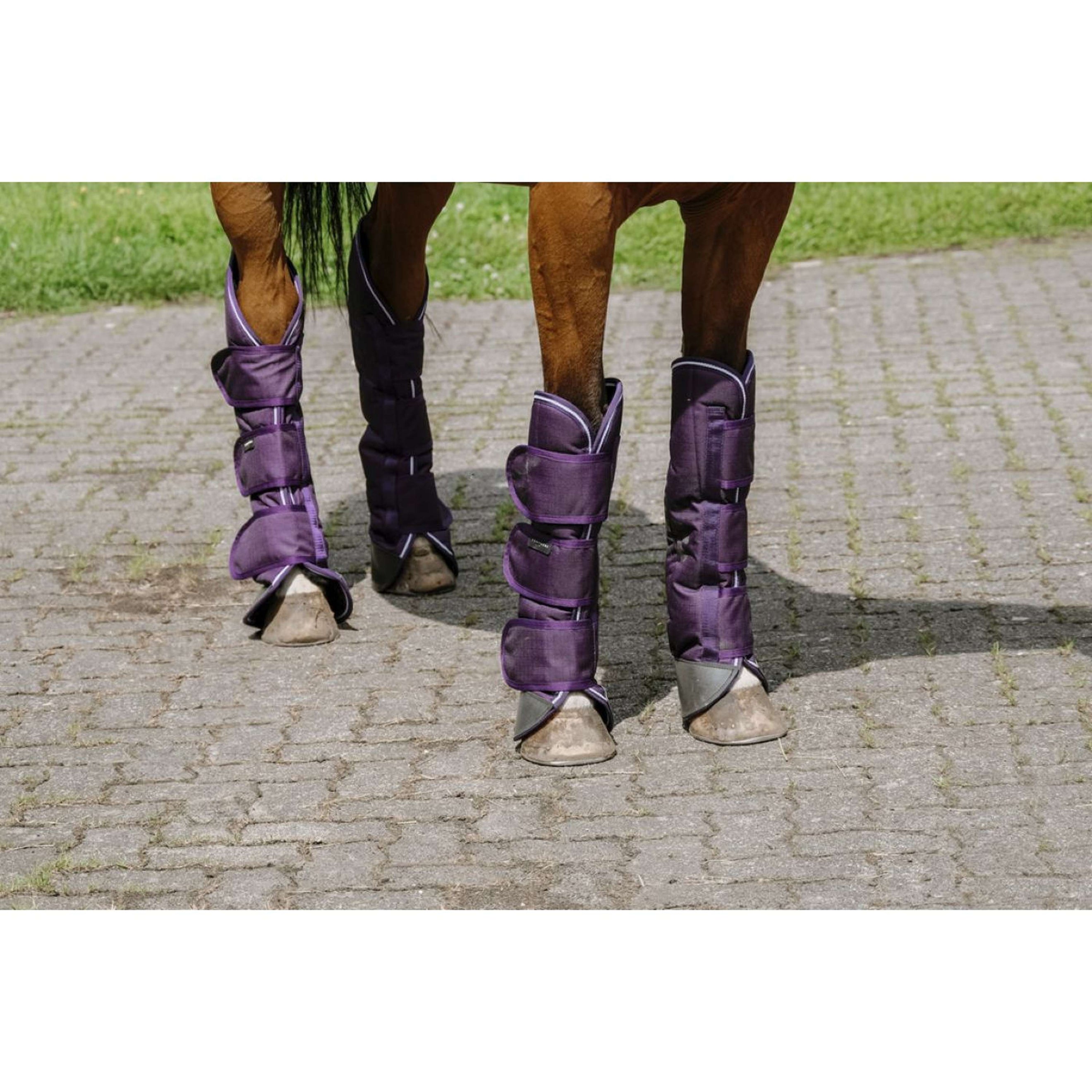 EQUITHÈME Protectores de transporte Tyrex 600D