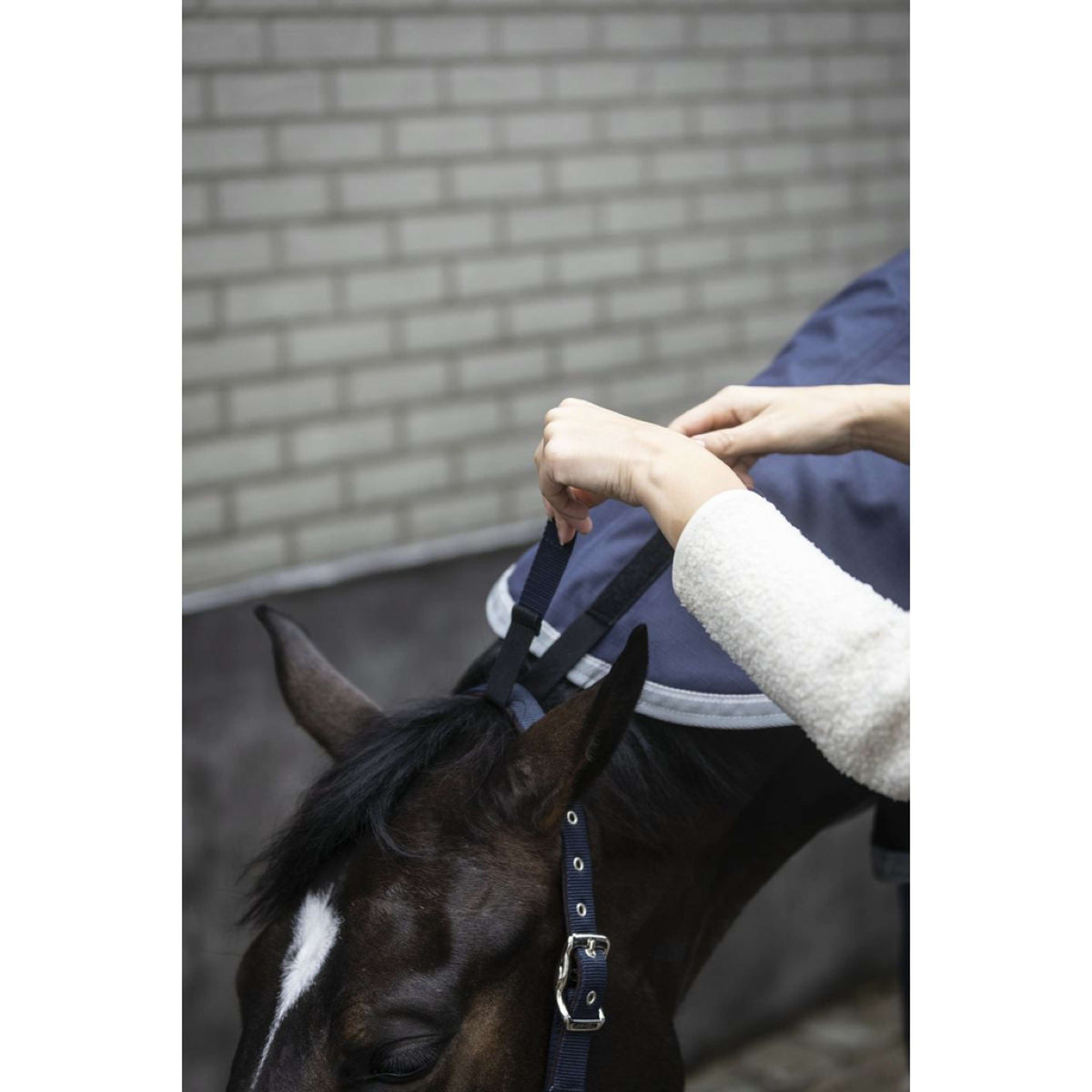 Lami-Cell Cubrecuellos Armadillo Navy